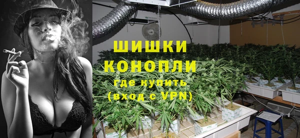 крисы Баксан