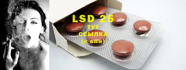 крисы Баксан