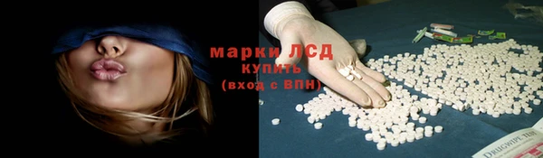 крисы Баксан
