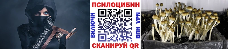 Галлюциногенные грибы Psilocybine cubensis  купить закладку  Новая Ляля 